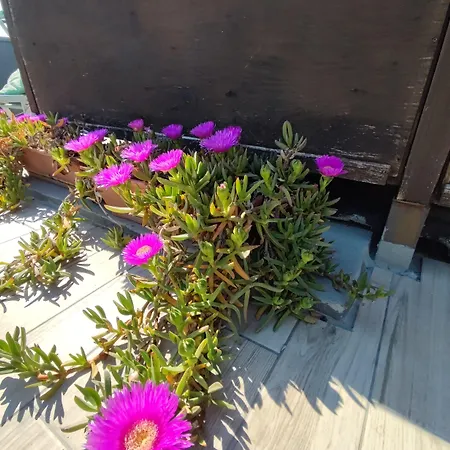 Memory Szálloda Rimini